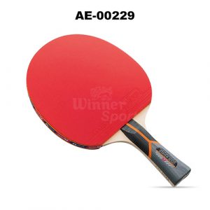Butterfly Table Tennis Racket Stayer 3000